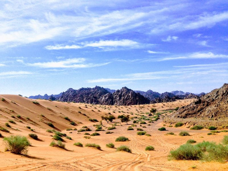 sand dune and mountain scenery