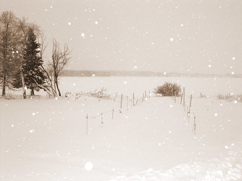 snowing Lapland
